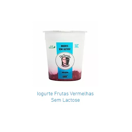 Iogurte do tambo 200g frutas vermelhas sem lactose