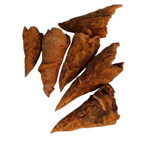 NÓ DE PINHO 100G