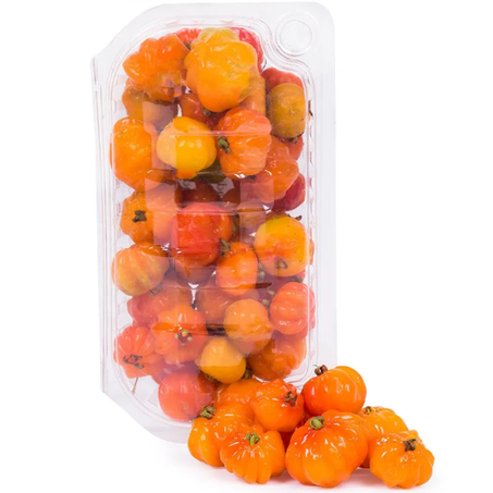 Feira pitanga tropic 100g