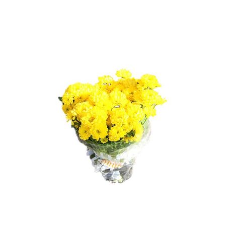FLOR NATURAL CRISANTEMO                           