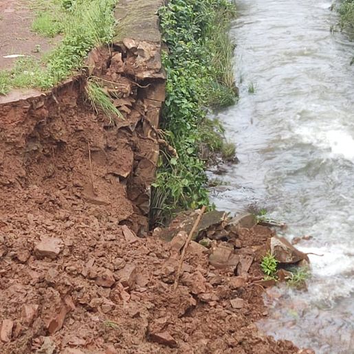 Margens do Rio Cedro desmoronam devido ao excesso de chuvas registradas nas últimas semanas