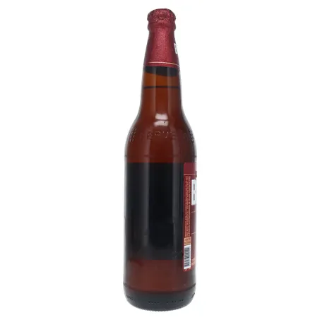 Cerveja Brahma Duplo Malte Garrafa 600ml 360-24