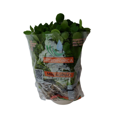 Agriao Mini Blumenau Hidro Un