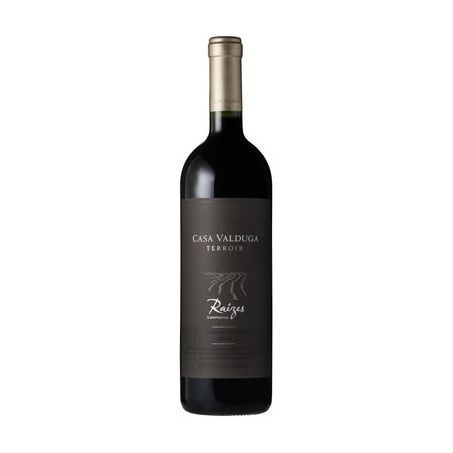 VINHO TINTO CASA VALDUGA RAIZES CABERNET SAUVIGNON 750ML
