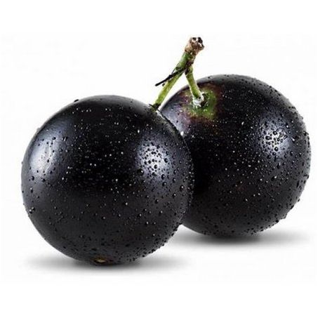 JABUTICABA CAIXA 1 UN	