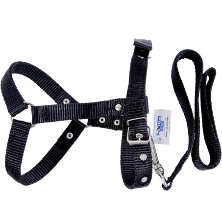 GUIA+COLEIRA SIMPLES NYLON N.3