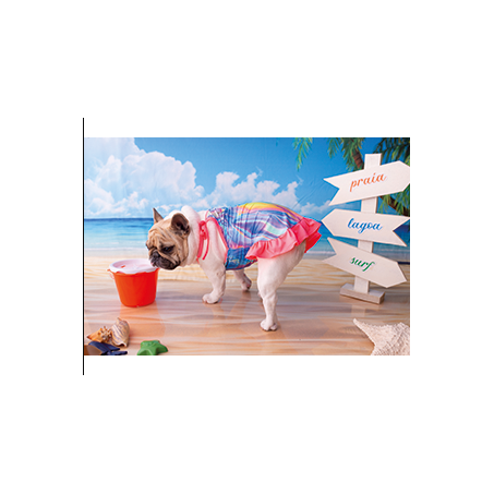CAMISETA BE KING PET SUMMER SORTIDAS P