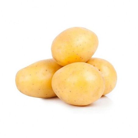 Hort batata branca kg