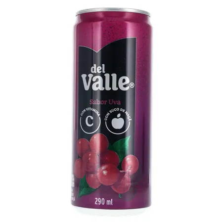 Suco Del Valle Uva Lt 290ml 360-1