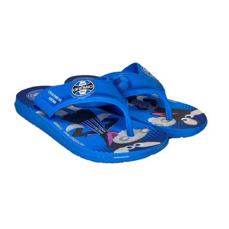 CHINELO IPANEMA CAVALINHO FANTASTICO AZUL N° 28 REF. 23188