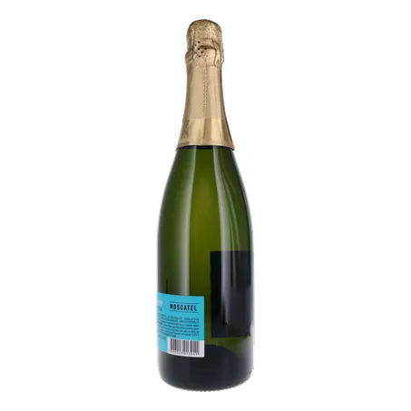 ESPUMANTE SALTON SERIES MOSCATEL 750ML 360-23
