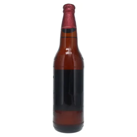 Cerveja Brahma Duplo Malte Garrafa 600ml 360-16