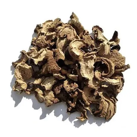 Cogumelo Funghi 70g