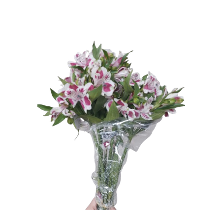 Flor maço alstroemeria 360-1
