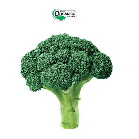 Brócolis Orgânico Econativa 350g