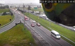 Vídeo: Papagaio aparece em câmera de monitoramento da BR-116, no Paraná