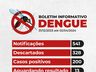 SMO chega à marca de 200 casos de dengue confirmados em 2024
