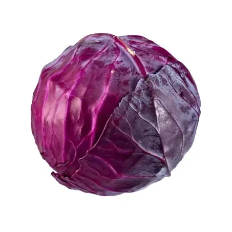 Repolho roxo un