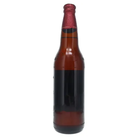 Cerveja Brahma Duplo Malte Garrafa 600ml 360-17