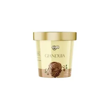 SORVETE JUNDIA 500ML GIANDUIA AVELA