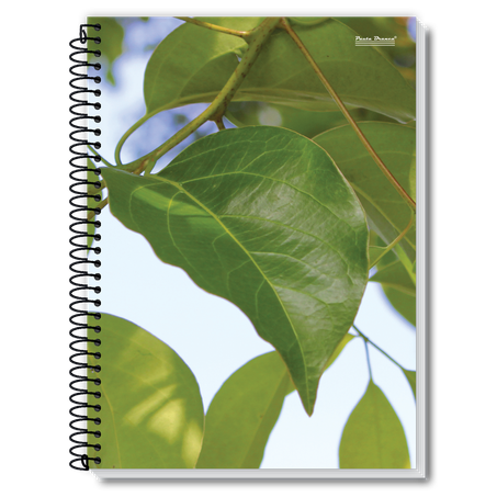 CADERNO CD 10 MAT NEW PAUTA BRANCA 200FL