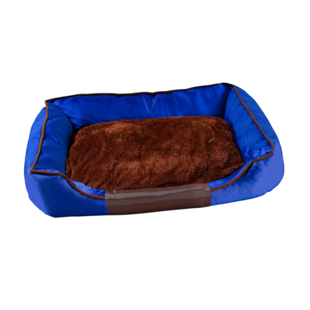 CAMINHA MEU PET MIAMI MACHO M