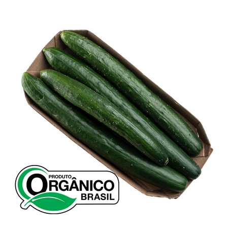 Pepino Japones Amanha Orgânico 500g