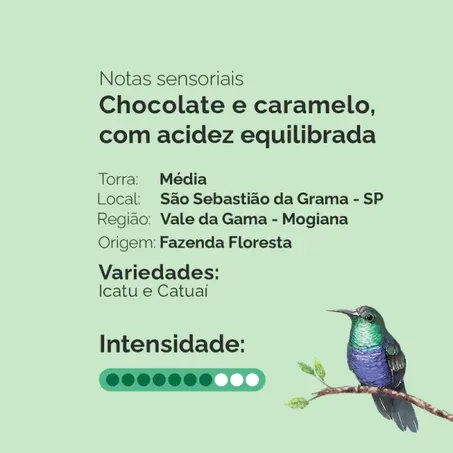 Fazenda Floresta Café Torrado E Moído Clássico 250G 360-2