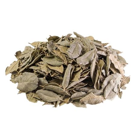BOLDO DO CHILE 100G