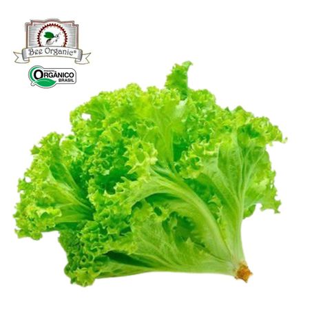 ALFACE CRESPA BEE ORGANIC 150G