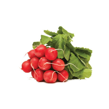 Rabanete Molho