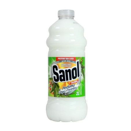 DESINF EUCALIPTO/HORT SANOL 2L