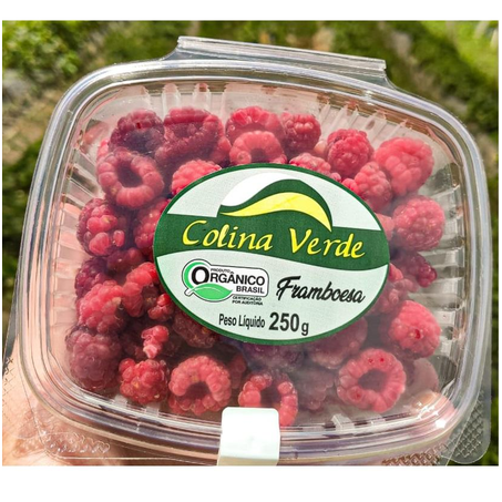 Fruta Cong Colina Verde 250g Framboesa