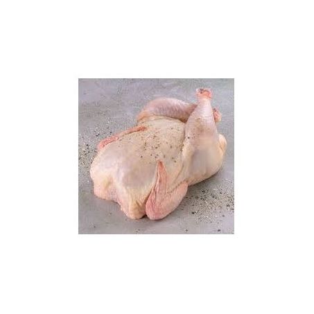 FRANGO INTEIRO KG