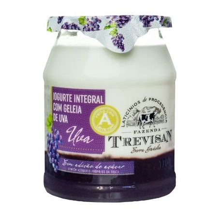 Iogurte fazenda trevisan geleia uva 170g