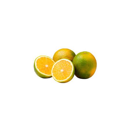 LARANJA  PERA KG