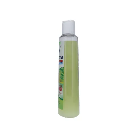 Sabonete Líquido Rexona Antibacterial Erva-Doce Frasco 250ml 360-8