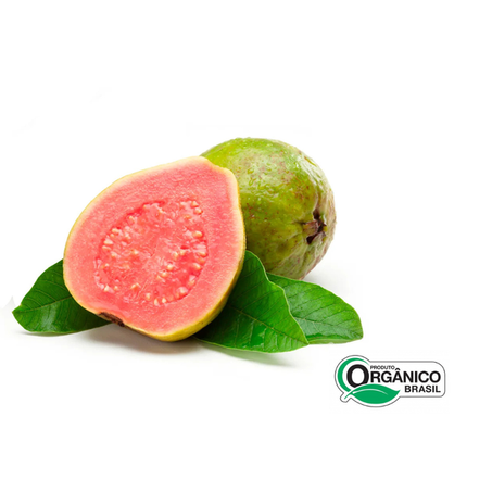 GOIABA VERMELHA ORG 400G