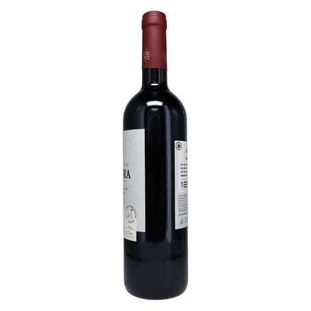 VINHO TINTO AURORA CABERNET SAUVIGNON 750ML 360-1