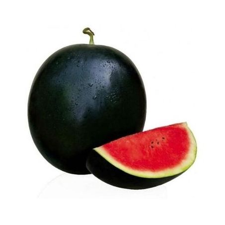 Melancia Pingo Doce Partida Kg