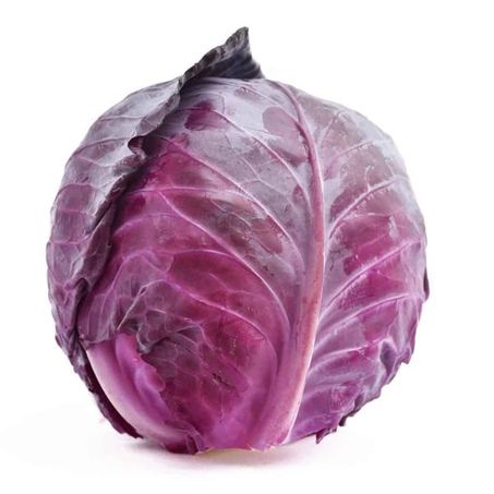Repolho Roxo Orgânico Caore 