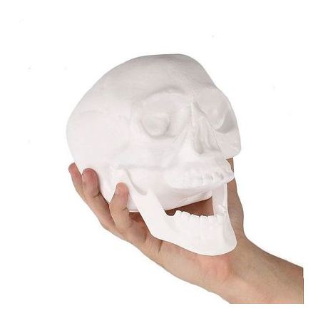 Crânio c/ mandibula branco Halloween BrasilFlex