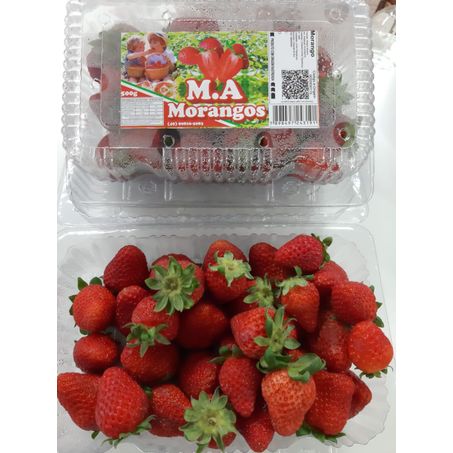 MORANGO M.A 500G