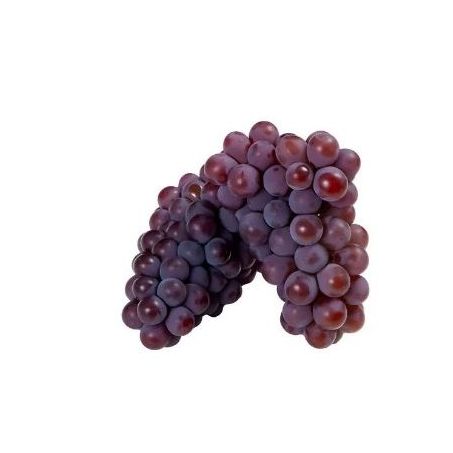 FRUTA UVA COMUM PRETA KG