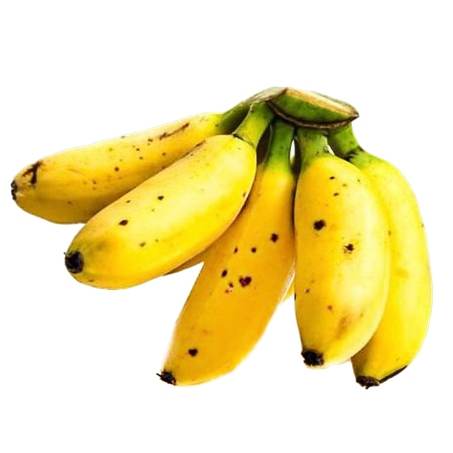BANANA OURO