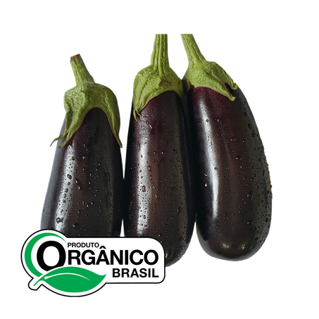 Berinjela Extrato da Natureza Orgânico 300g