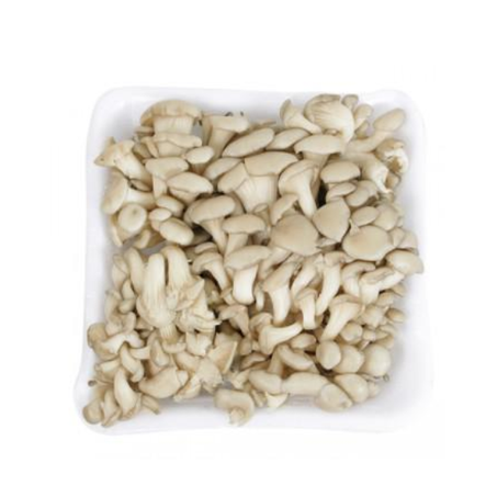Shimeji Branco 200g