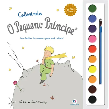Livro o Pequeno Principe Cores e Amizade