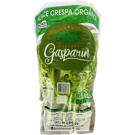 Alface-crespa Gasparin 150g - Orgânica