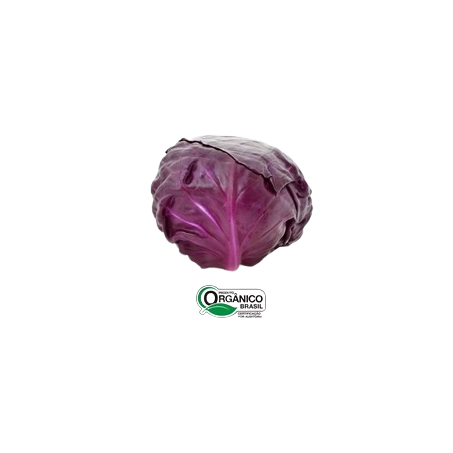 Repolho roxo orgânico up fruit bdj